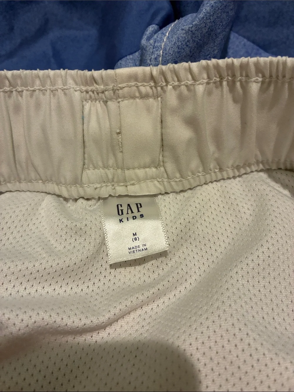 GAP Boys Blue Gradient Stripe Swim Trunks